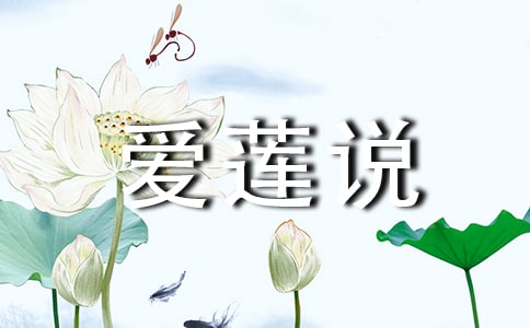 ������˵������ʵ¼