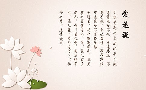 ����˵�ľ���̰�