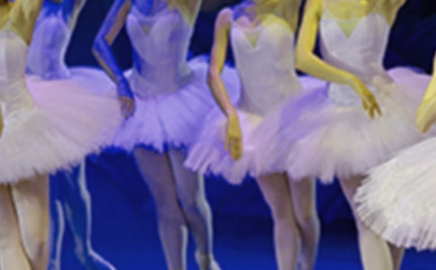 ��СӢ�ۺͰ��ٹ�����Сѧ�����