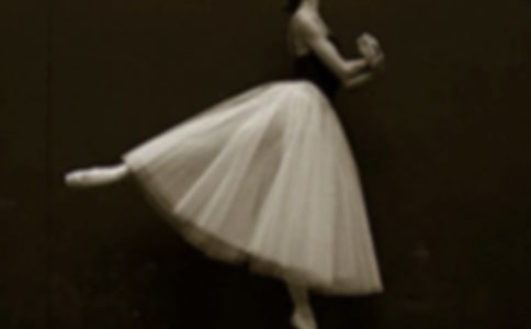 �����Y�����١������