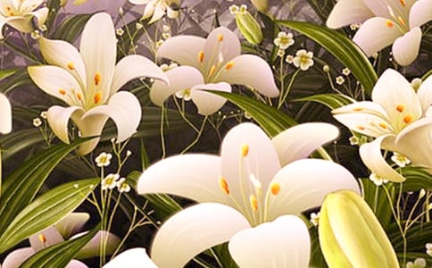 ����ٺϻ����ֹ���ֽ�̳�