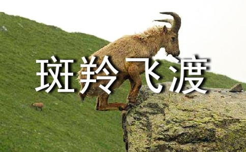 ���꼶���ġ�����ɶɡ��̰�