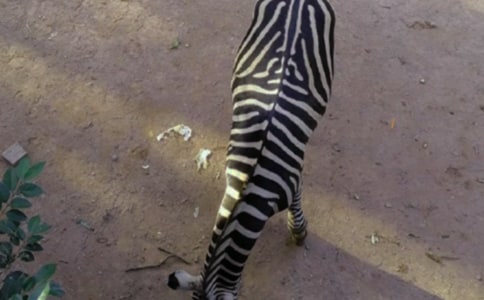 ���ð���������[�ر�]