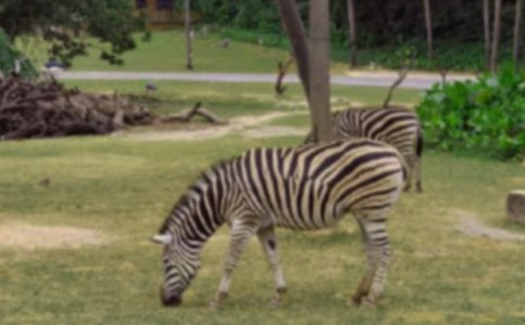 ��ֽС�����ֹ���ֽ�̳�