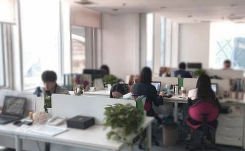 办公室主任德能勤绩述职报告