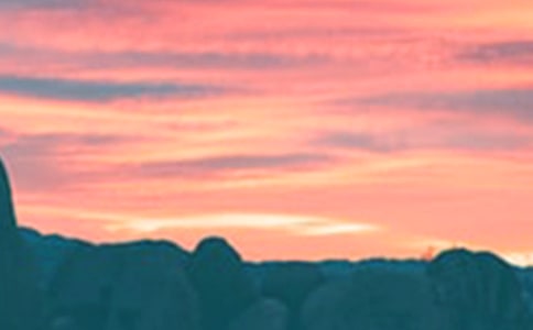 �����������ģ�ͨ��20ƪ��