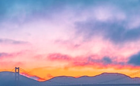 ɭ�ֵİ�������ɢ��