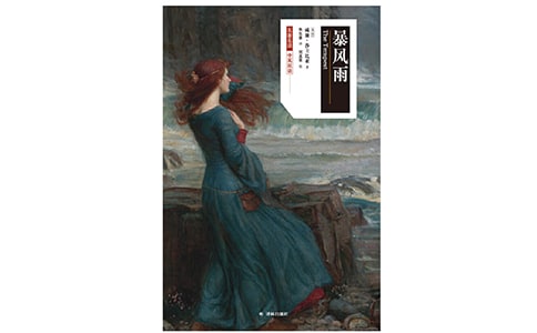 描写暴风雨的句子