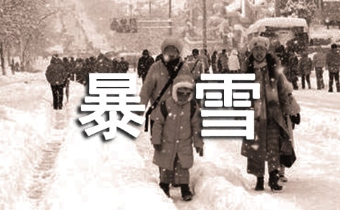 暴雪天气店面应急预案(通用5篇)