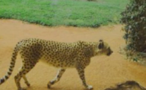 ���ͱ������꼶����