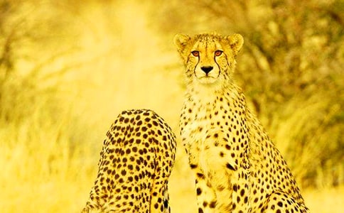 ��д���ӵľ���