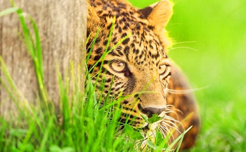 �й��ڱ��ӵ�Ъ�����ȫ