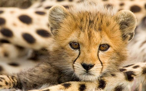 ����������������500����ƪ