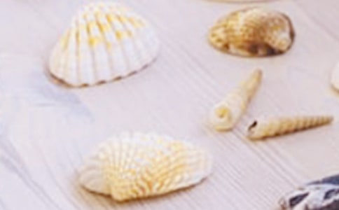 ���ǵ��������Ӽ���