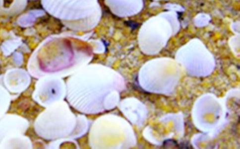 ���ݺͱ���