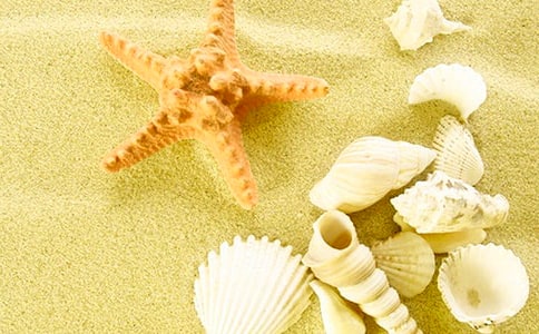 �����ǽ̰�