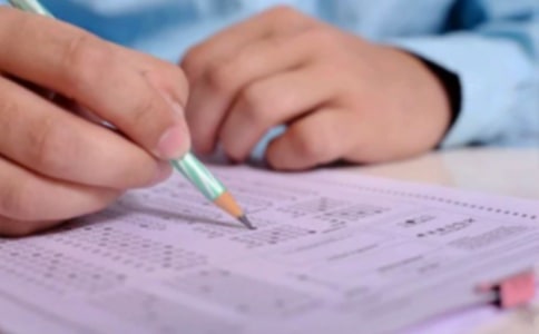 ���Թ���ʦ���Ա�����