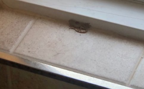 С�ڻ�����[��]