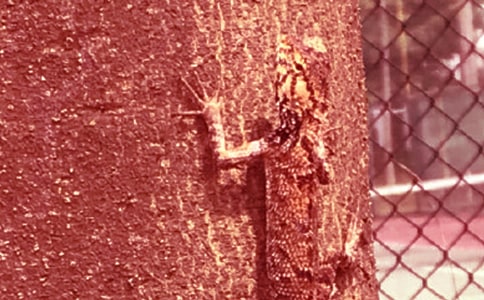 �ڻ���β�����ġ����6ƪ��