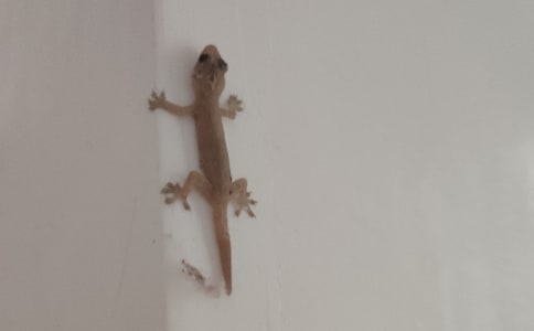 С�ڻ���β�͹��£�ͨ��14ƪ��