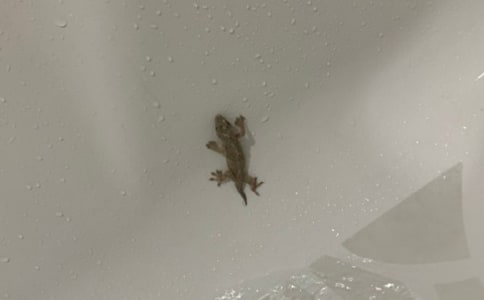 С�ڻ����ģ���ѡ39ƪ��