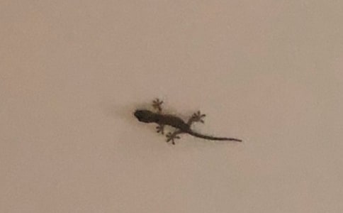 С�ڻ���β�����ġ�ʵ�á�