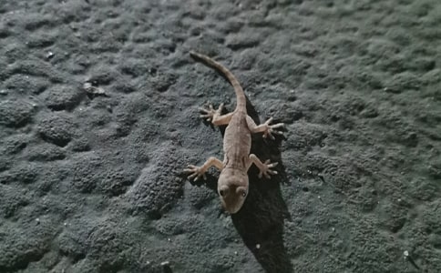 С�ڻ���β�����ģ����䣩