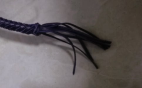 八年级下册《放下你的鞭子》优质教案