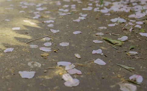 冰雹天气应急预案优秀