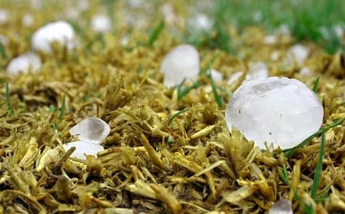 �������ͼ����