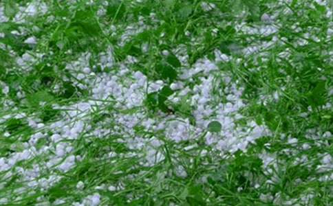 ����������(��Ʒ)