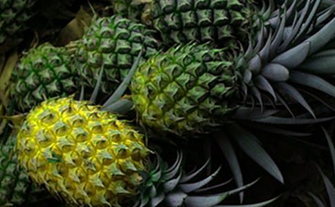 �а������̰����̰ܽ�