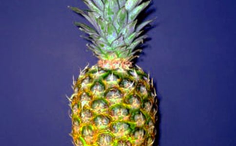 ���ڲ�������