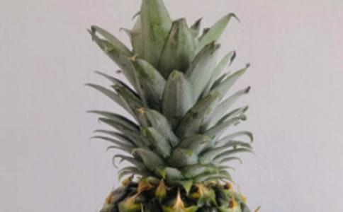 �а����������ܡ��̰�