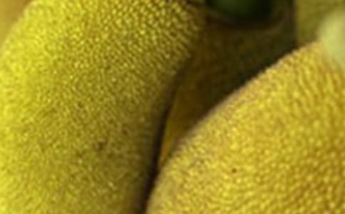 ������������������