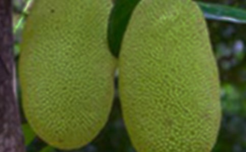 ����������8ƪ