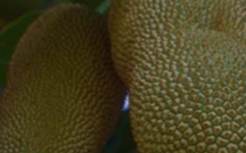 ����������15ƪ������