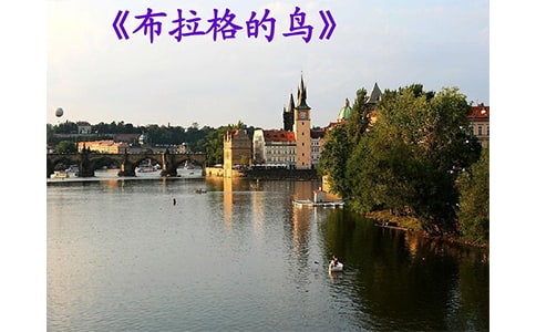 ����������񡷶����