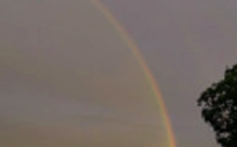 ���ڲʺ������[�ϼ�]