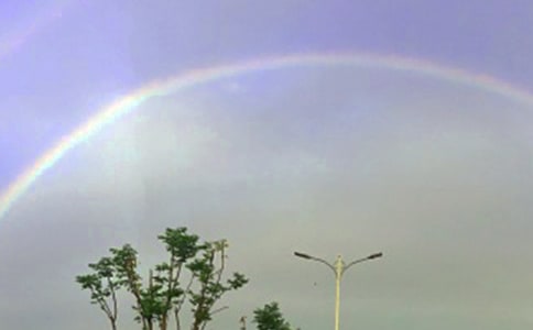 ���еĲʺ����ĺϼ�10ƪ