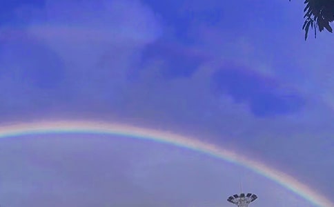 �߲ʺ������μ�