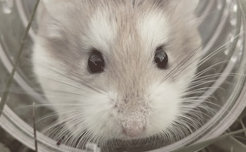 �ɰ��Ĳ������ġ�ʵ��10ƪ��