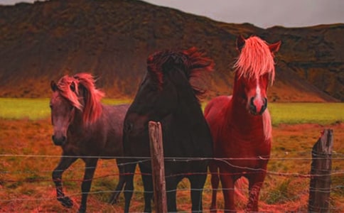 �����������ƥ����������