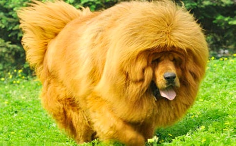 �����ѱ������������Щ