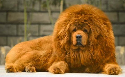 ��������500�֣�ͨ��23ƪ��