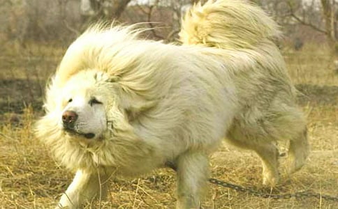 ���ڲ�������ģ���ѡ30ƪ��