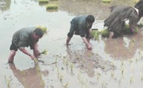 �����������