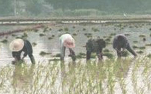 ���꼶400���ռǣ�����