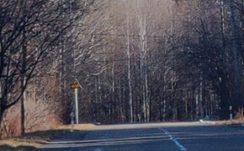 ����ɽ֮������