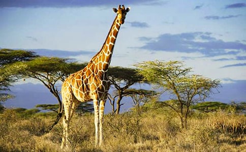 ����ͳ���¹�������ӹ��ӿ�ͼд��(����)